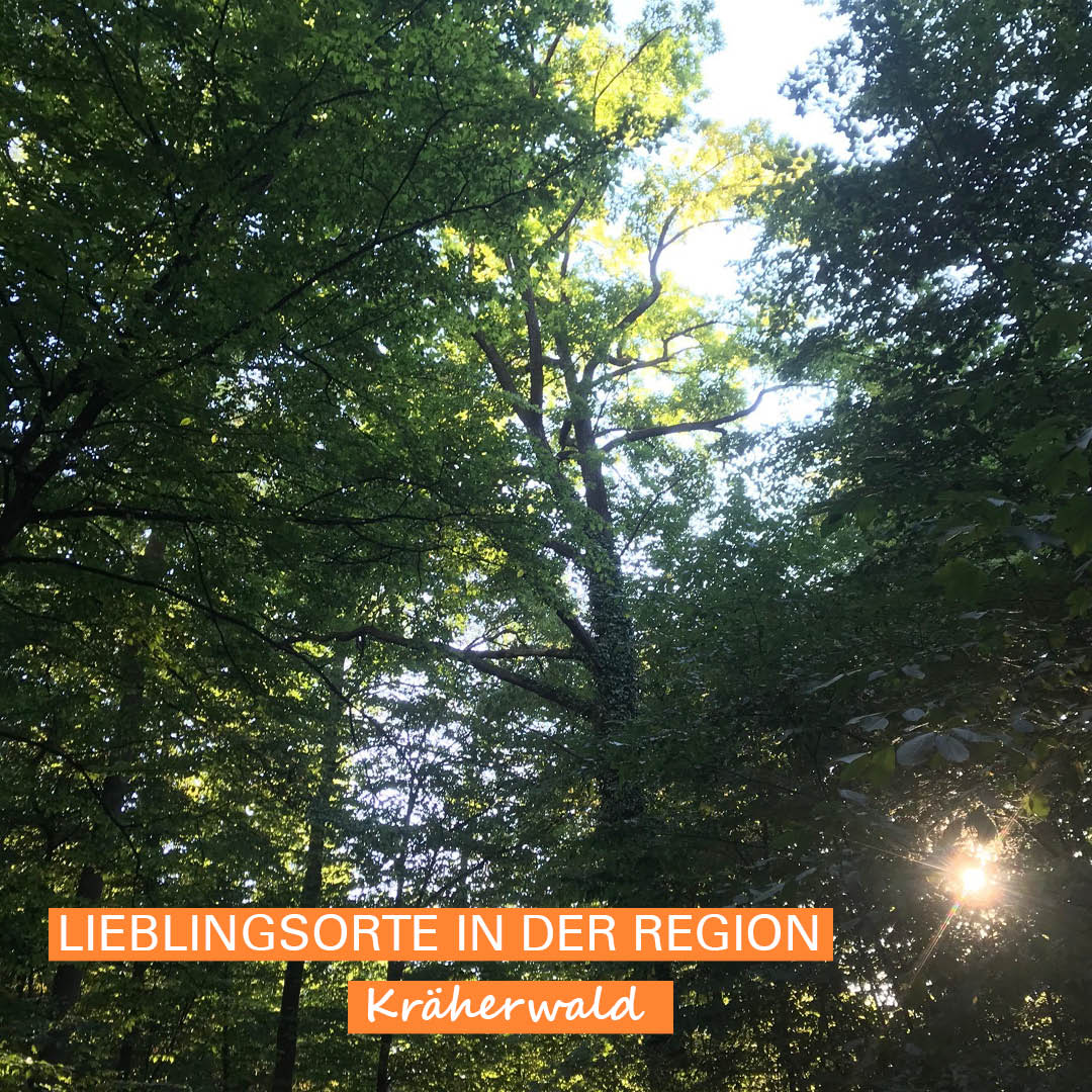 Sonnenlicht das durch Baumwipfel fällt