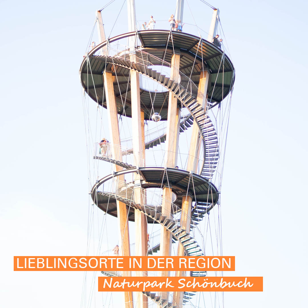 Aussichtsturm im Naturpark Schönbuch