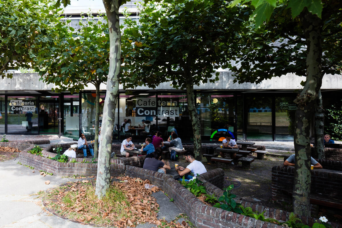 Exterior view of the Cafeteria Contrast with trees and seating area