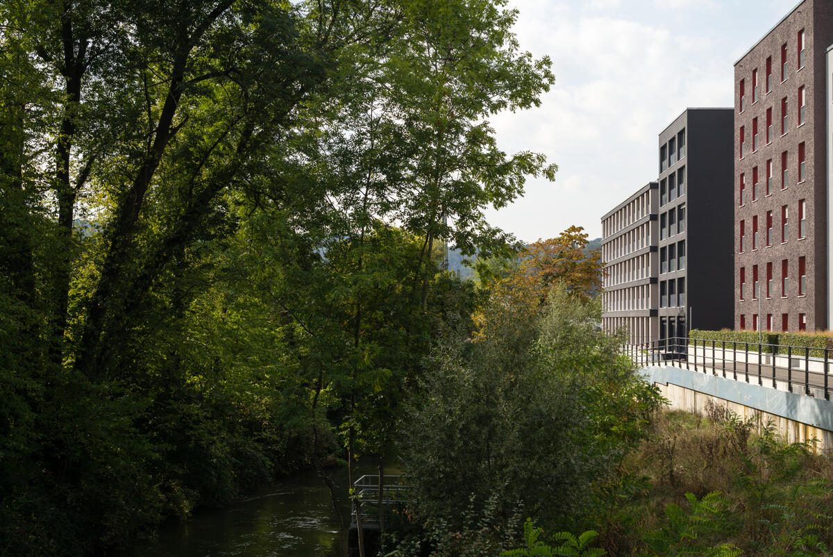 Seitliche Außenansicht mit Bäumen der Wohnanlage im Rossneckar 2