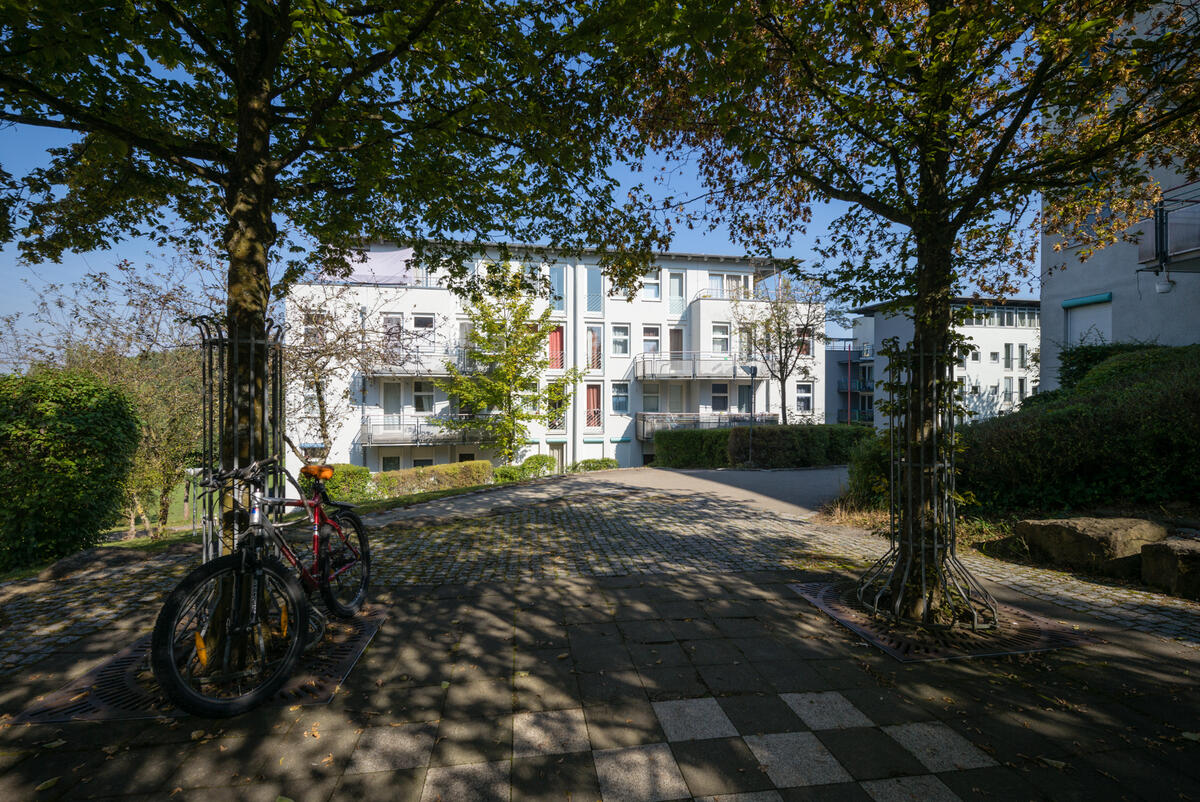 Fahrradstellplatz unter Bäumen vor der Wohnanlage im Allmandring 3