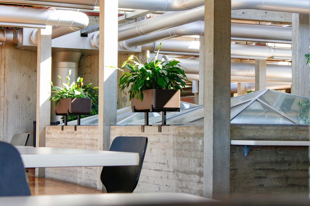 Pflanzenkästen am Geländer eines Essenssaals. Im Vordergrund ist ein Tisch mit zwei Stühlen