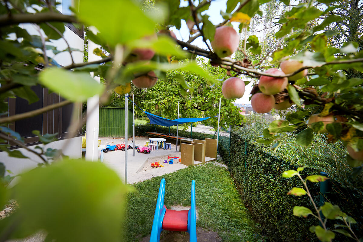 Garten der Kita Hochschulzwerge mit Apfelbaum