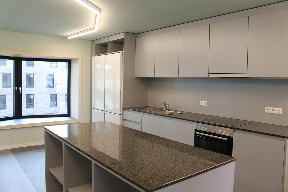 Kitchen unit and kitchen island in a shared flat
