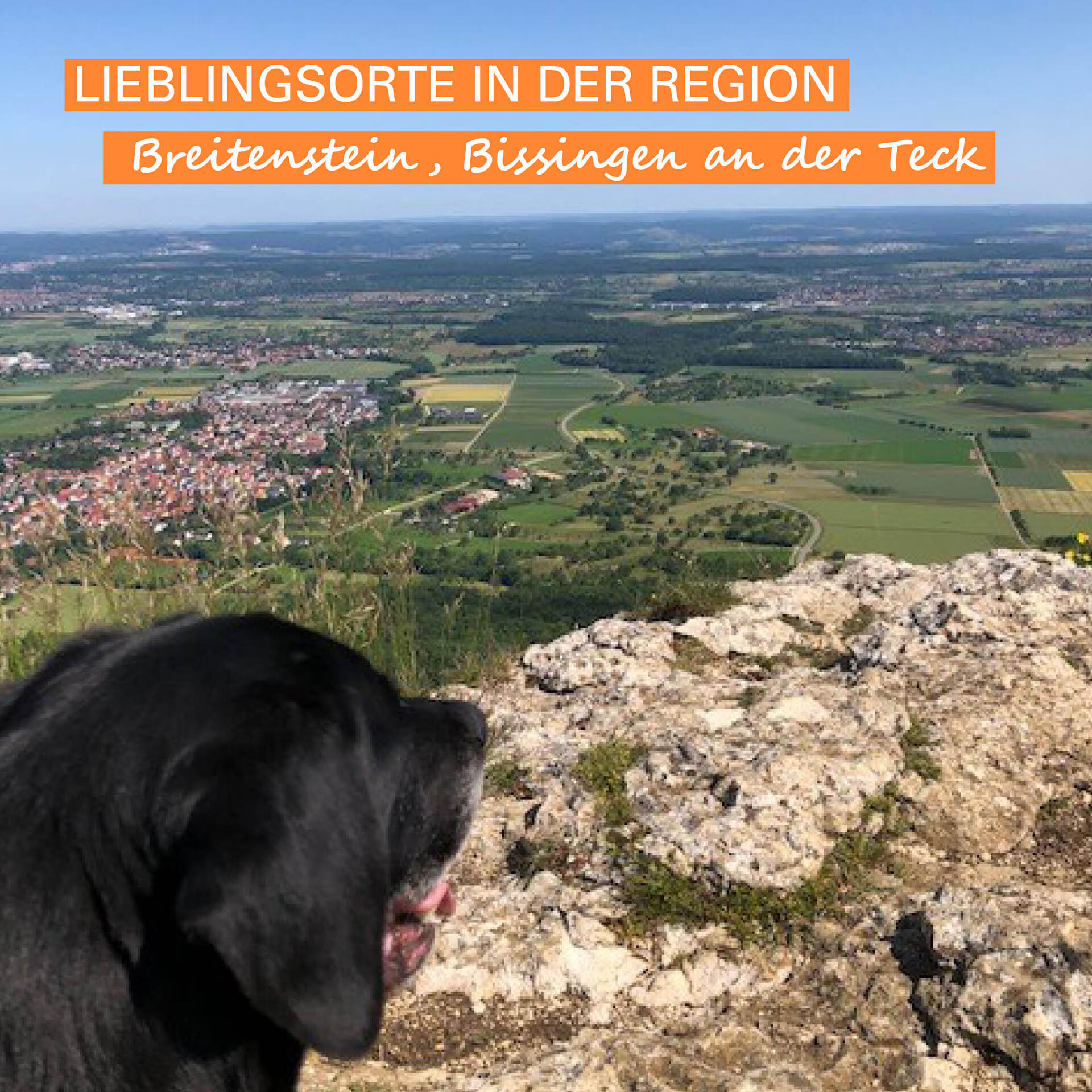 Ein Hund sitzt auf dem Felsplateau des Breitensteins